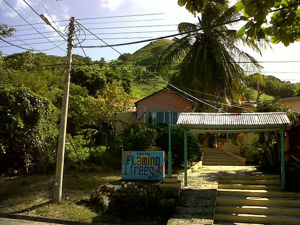 Hotel Flemming Tree Providencia Island Kültér fotó