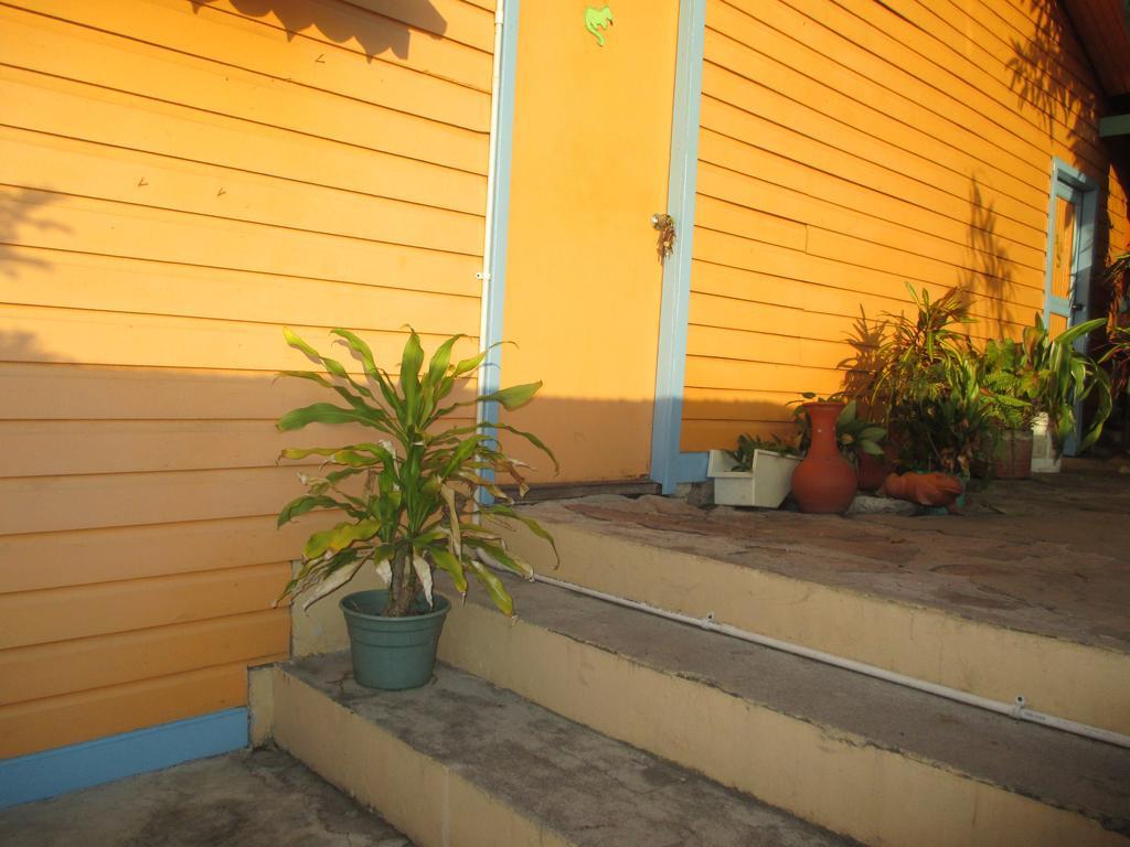 Hotel Flemming Tree Providencia Island Kültér fotó