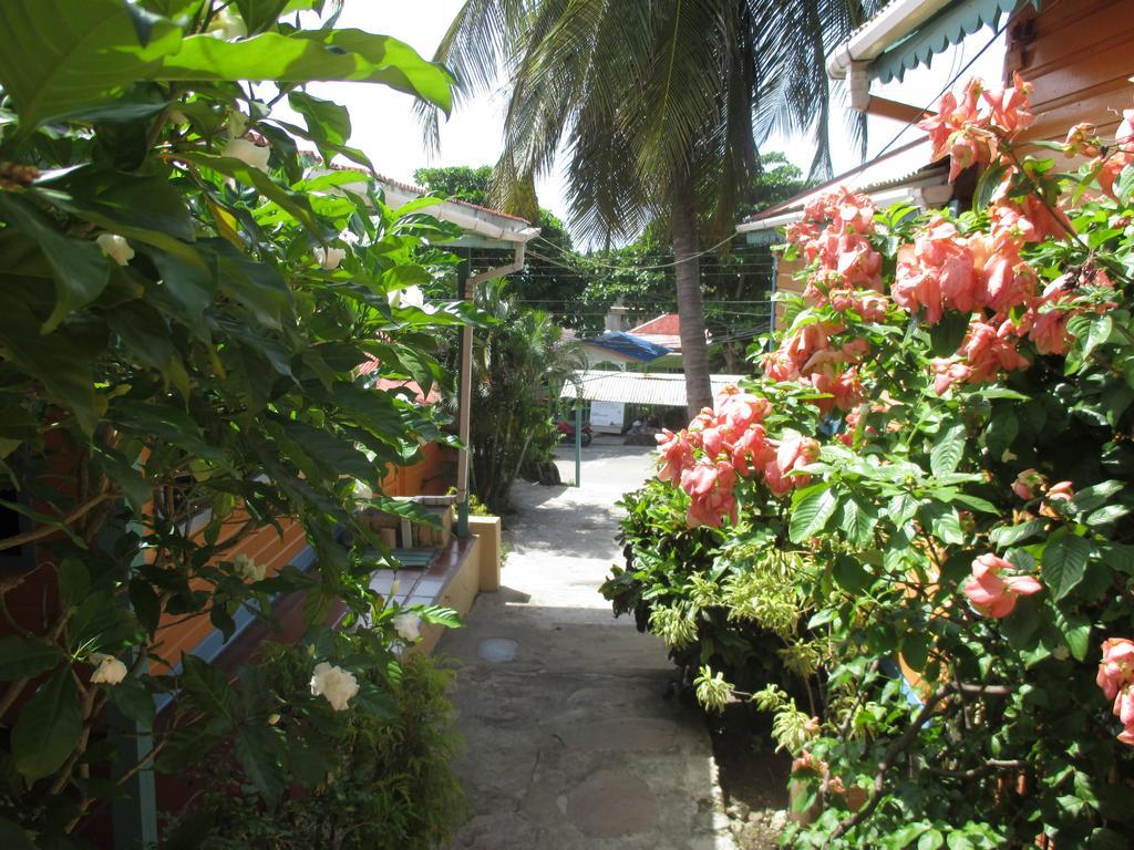 Hotel Flemming Tree Providencia Island Kültér fotó