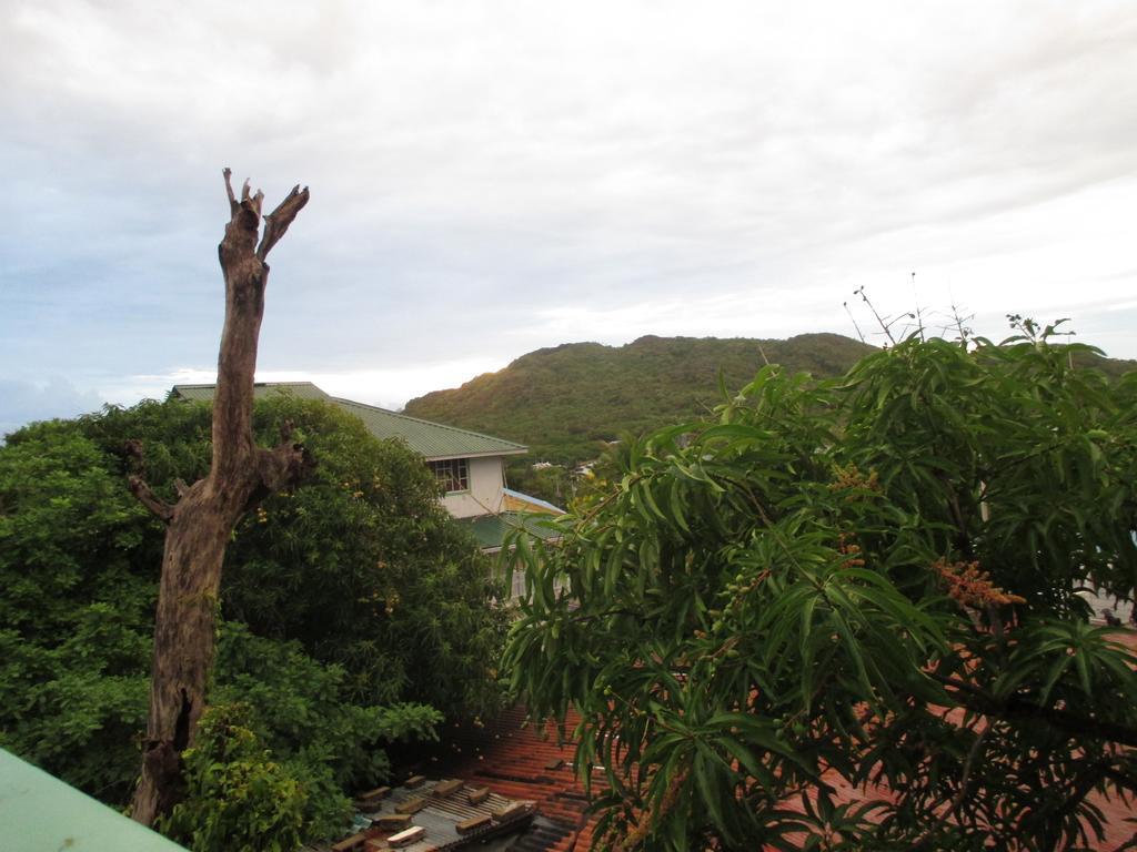 Hotel Flemming Tree Providencia Island Kültér fotó
