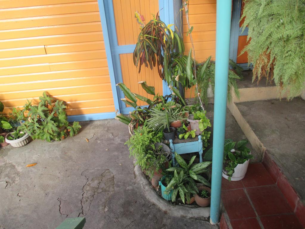 Hotel Flemming Tree Providencia Island Kültér fotó