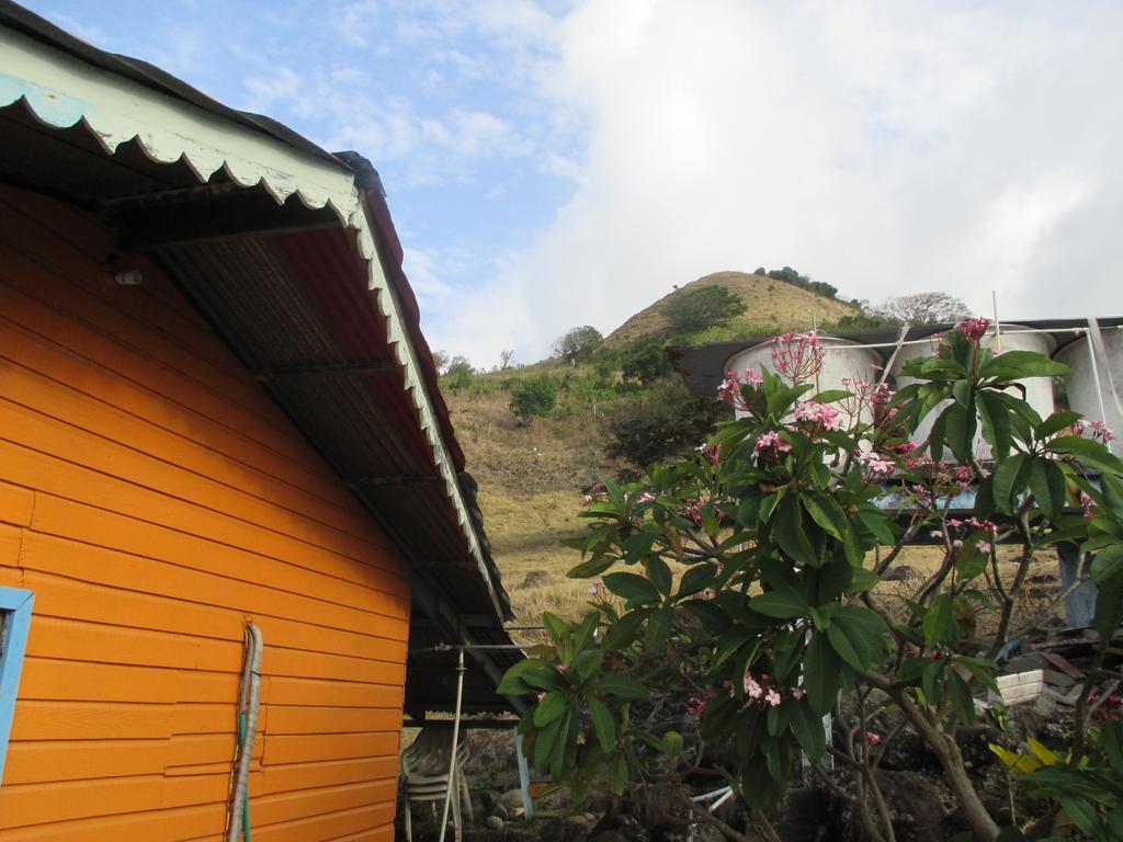 Hotel Flemming Tree Providencia Island Kültér fotó