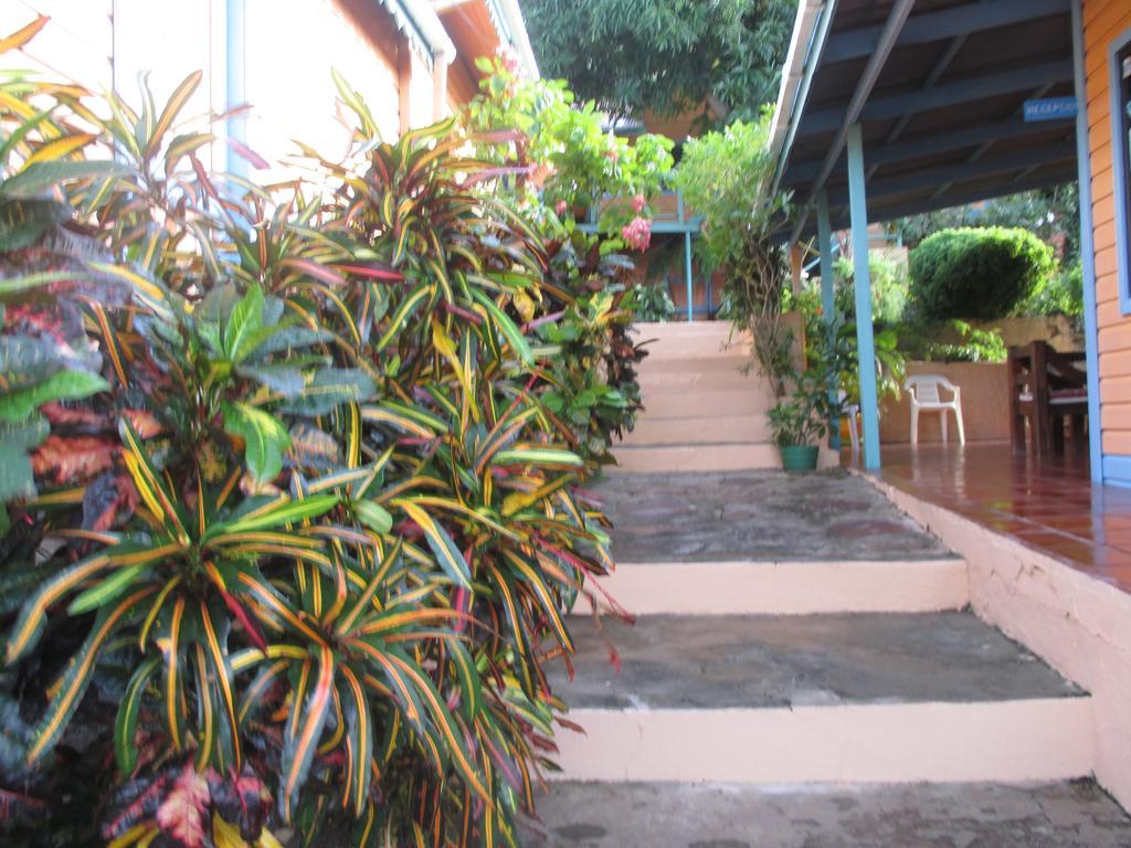 Hotel Flemming Tree Providencia Island Kültér fotó