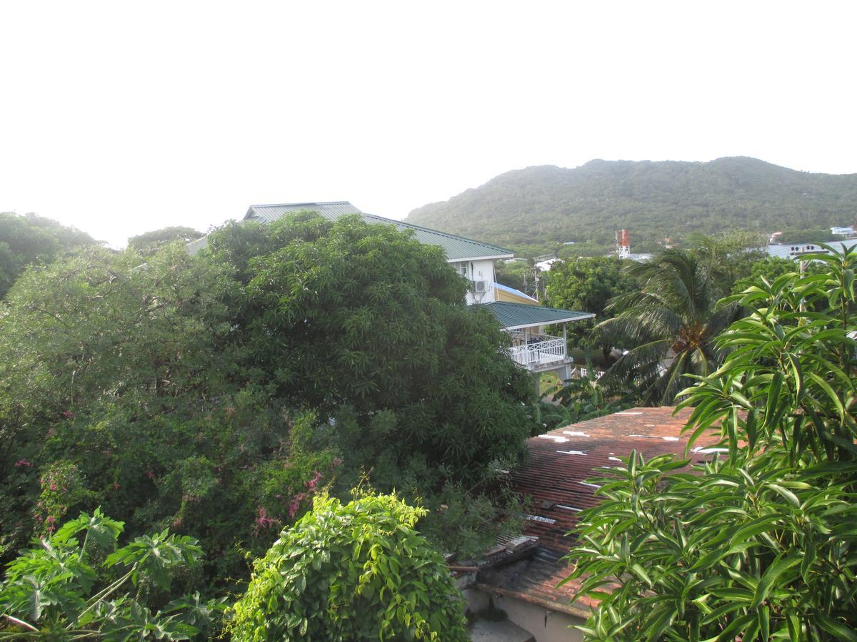 Hotel Flemming Tree Providencia Island Kültér fotó